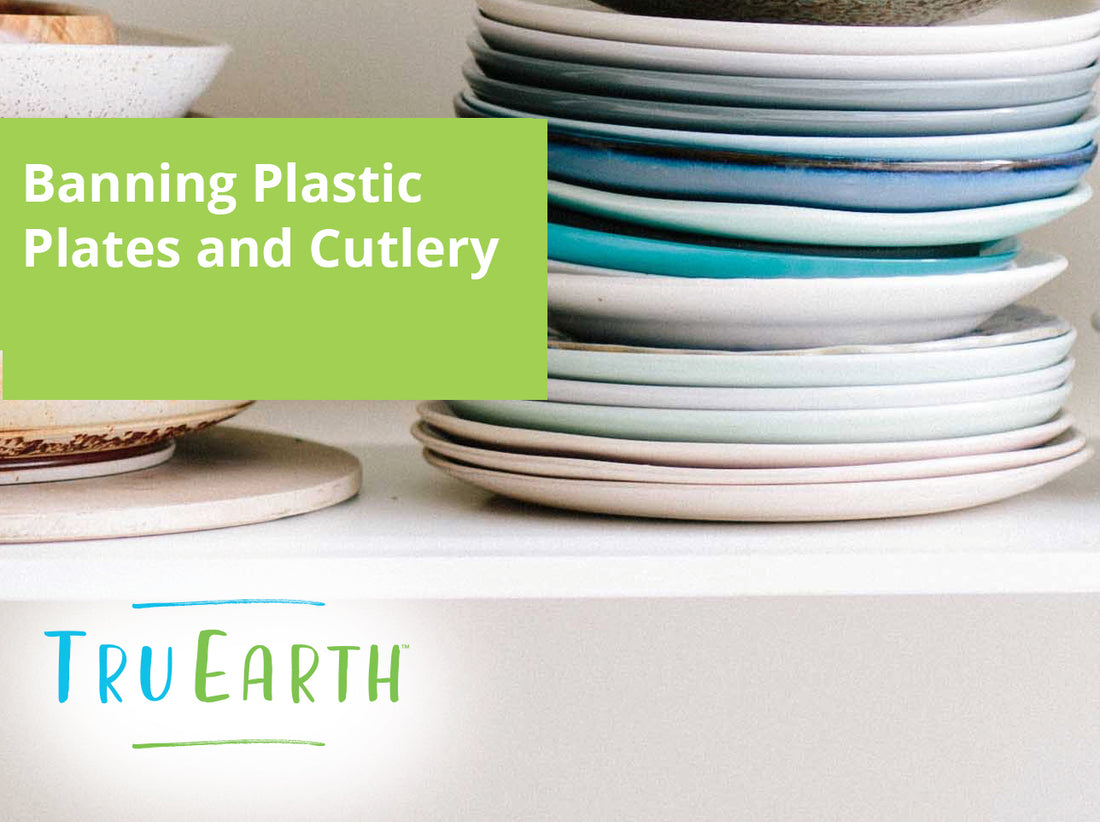 Banning Plastic Plates and Cutlery- Who Was First