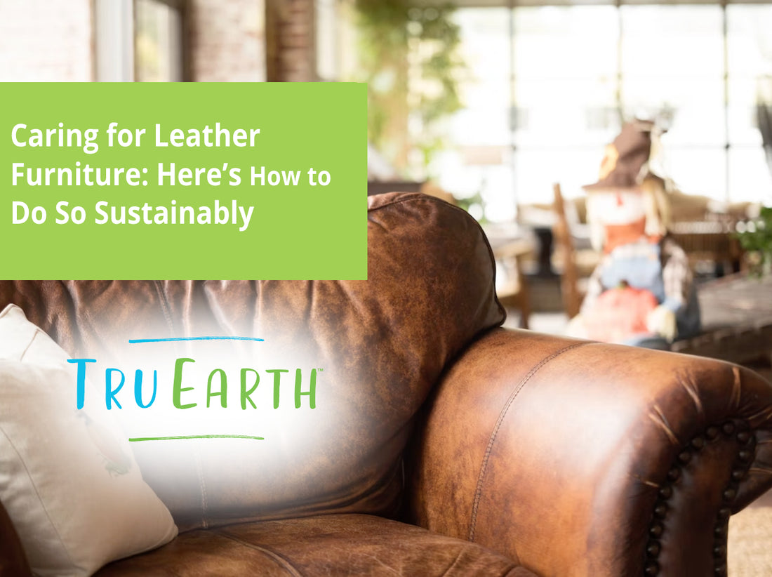 Caring for Leather Furniture: Here's How to Do So Sustainably