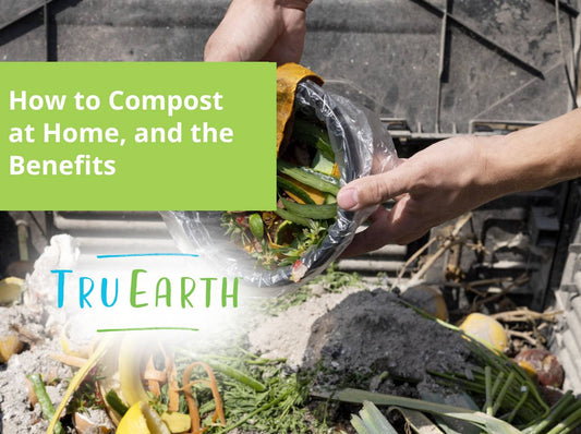 How to Compost at Home, and the Benefits