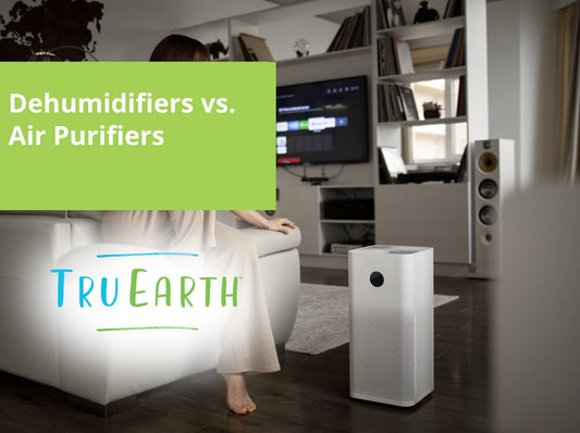 Dehumidifiers vs. Air Purifiers