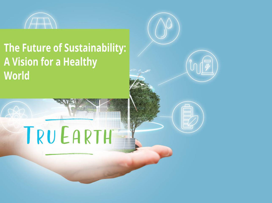 The Future of Sustainability: A Vision for a Healthy World