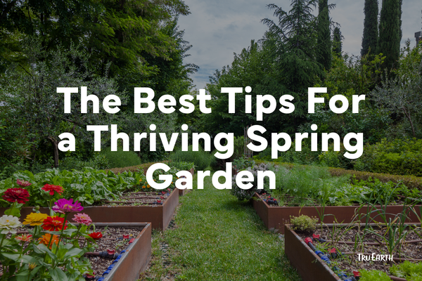 The Best Tips For a Thriving Spring Garden – Tru Earth
