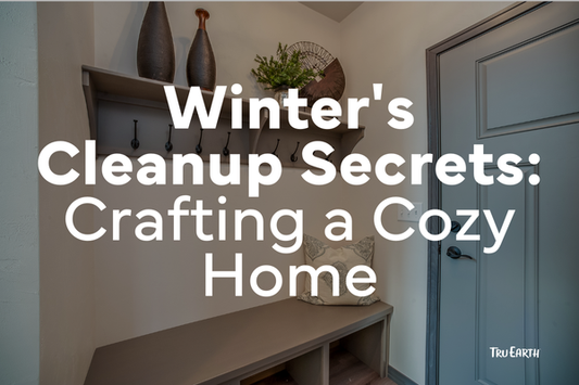 Winter's Cleanup Secrets: Crafting a Cozy Home