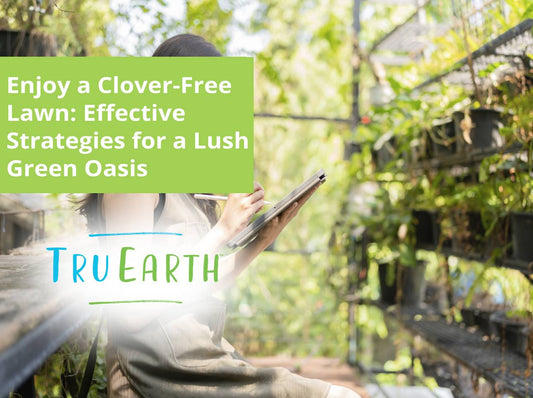Enjoy a Clover-Free Lawn: Effective Strategies for a Lush Green Oasis